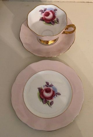 Very Rare - Royal Albert Painter’s Rose With Gold Trim Tea Cup,  Plate & Saucer