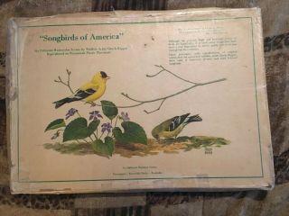14 Antique Song Birds Of America Set By Chuck Ripper W Org Box.  Check Pictures.