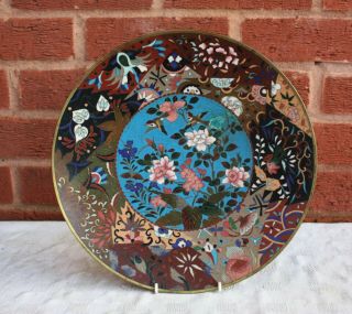 19th Century Japanese Meiji Period Cloisonne Charger