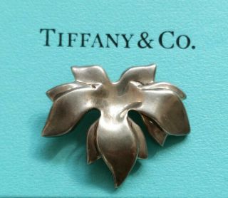 Rare 1985 Tiffany & Co.  Sterling Silver Maple Leaf Pendant