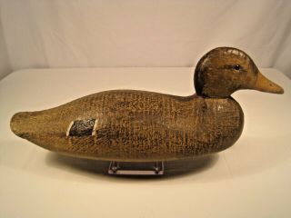 Vintage Victor Animal Trap Mallard Hen Wooden Duck Decoy 2 Mammoth 1918 - 1938