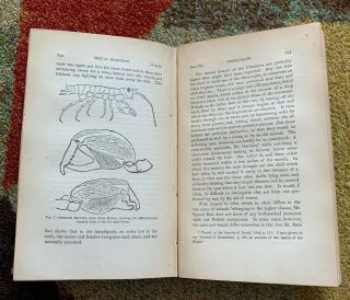 Charles Darwin Descent of Man 1st Ed 1871 Illustrated Antique Decorative Book v1 3