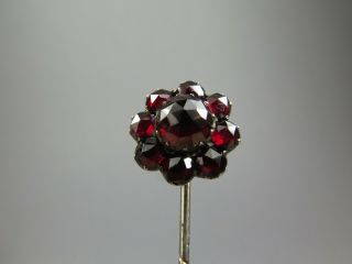 Antique 19th Century Victorian Bohemian Garnet Floral Cluster Stick Pin Brooch