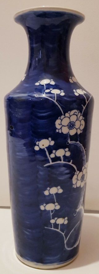 EXQUISITE LARGE ANTIQUE CHINESE PORCELAIN BLUE AND WHITE PRUNUS BLOSSOM VASE 1 2