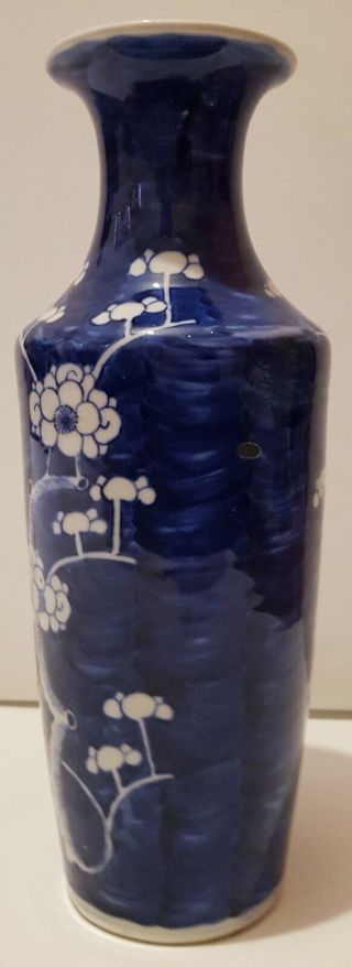EXQUISITE LARGE ANTIQUE CHINESE PORCELAIN BLUE AND WHITE PRUNUS BLOSSOM VASE 1 3
