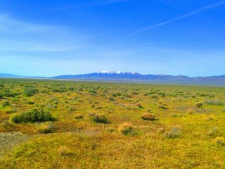 Rare 40 Acre Eureka County Nevada Ranch Adjoins Blm Land Cash