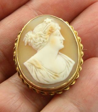Exquisite Antique Victorian C1890 14 Ct Gold Italian Shell Cameo Brooch Pin