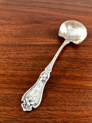 Whiting Mfg Co.  Sterling Silver Art Nouveau Cream Ladle: 1905 Violet