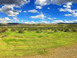 Rare 40 Acre Nevada Ranch Easy Access Paved Road Cash