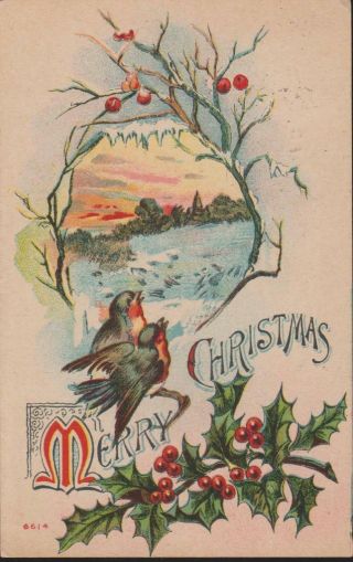 1910 Merry Christmas Birds Nature Scene Vintage Franklin Stamp Pc Rare
