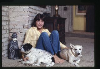 David Cassidy Rare At Home Barefoot With Dog 1970 