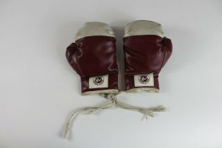 Sports Fun Physical Fitness Boxing Gloves Rare