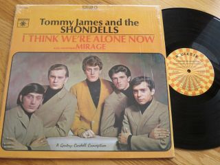 Rare Vintage Vinyl - Tommy James And The Shondells - I Think We 