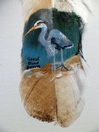 Great Blu Heron - Hand Painted Rare Turkey Feather,  By Artist W.  W.  Hoffert