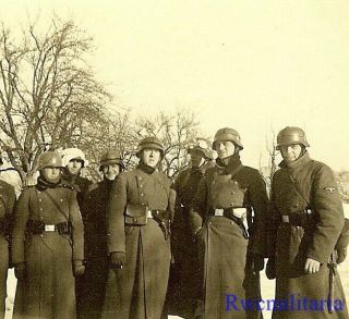 Rare Group German Elite Waffen Troops W/ Stahlhelms In Winter Field