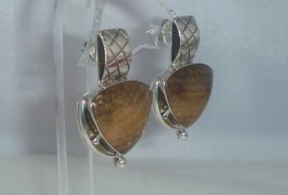 Rare Jay King Petrified Wood Oregon Oak 925 Sterling Silver Pierced Earrings