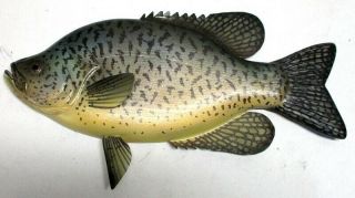 Vintage Paul Mcneal Crappie Plaque Folk Art Fish Spearing Decoy Carver