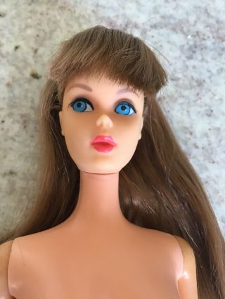 Vintage Mod Barbie TNT Brunette Blue Eyes TLC 2