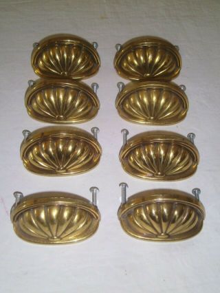 Vintage Brass Bale|bin Pulls Eight Shell | Ribbed Design 3 " Centers Quality