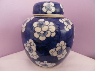 Fab Antique Chinese Porcelain Prunus Flowers Design Ginger Jar/pot 16 Cms Tall