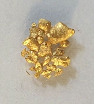 Fine Antique Microscope Slide " Gold Nuggets "