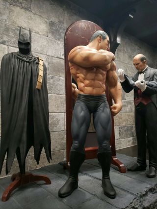 Batman Scars Of The Bat Custom 1/4 Statue Diorama,  Alex Ross (very Rare)