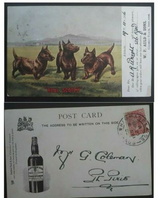 Rare 1906 South Australia Wp Auld & Sons Advertising Postcard " Real Scotch "