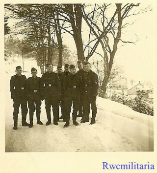 Rare Group Of German Elite Waffen Soldiers Posed On Winter Road