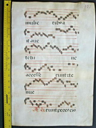Huge Unadorned Ca.  1550 Liturgical Manuscript Leaf In Latin With Musical Staffs