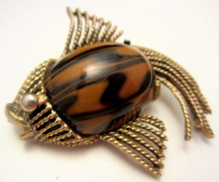 Cool Rare Vtg 2 " Signed Har Gold Tone Orange Black Art Glass Fish Brooch Pin A65
