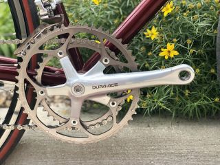 RARE Vintage 58cm Ibis Spanky STEEL Road Bike 2