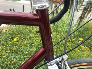 RARE Vintage 58cm Ibis Spanky STEEL Road Bike 3