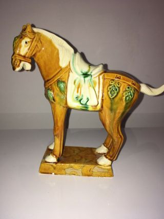 Chinese Tang War Horse,  Ceramic Figurine
