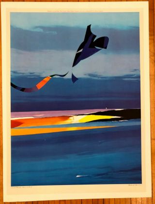 Rare Vintage 1979 Venture Donald Hamilton Fraser Beach Kite 34 " Poster Print