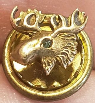 Rare Early 1900s 10kt Gold Loyal Order Of Moose Pap Emerald Eye Screwback Pin