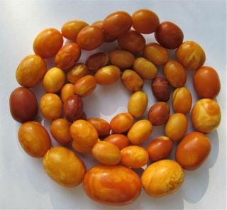 Antique Natural Butterscotch Egg Yolk Baltic Amber Beads Necklace Rare Color