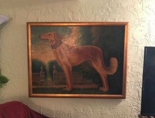 Vintage Rare Large Signed Reginald Baxter Dog Oil Painting Saluki Greyhound Dog