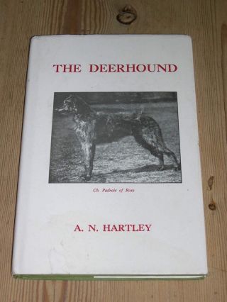 Rare Scottish Deerhound Dog Book By An Hartley 1986 In Dust Wrapper Deerhounds