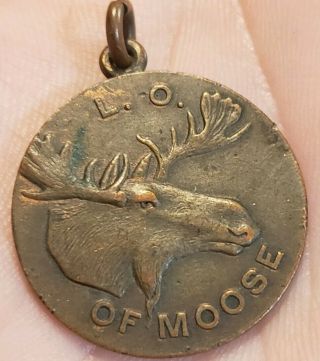 Rare Early 1900s Loyal Order Of Moose Fraternal Made A Moose Blank Medal Token