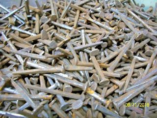 100,  Orig.  Antique,  1 3/8 " Long,  Square Steel Nails,  Great Maine Barn Find 2