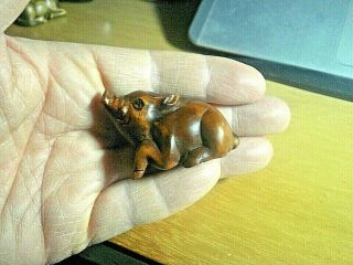 Hand Carved Wood Netsuke Wild Boar Looks Up Boxwood Collectable Pig Figure
