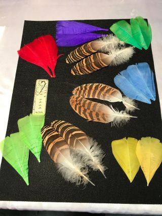 Florican Bustard Dyed Turkey Feathers Salmon Fly Tying Materials Flies Rare 1