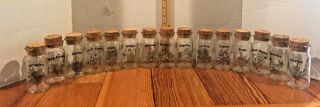 15 Vintage Antique Glass Apothecary Spice Jars With Cork Tops - Wheaton