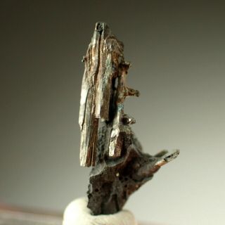 Dyscrasite Fine Crystals On Arsenic Rare Pribram,  Czech Republic
