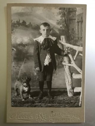 Antique Cabinet Photo,  Young Boy With Pug - Like Dog,  Milwaukee