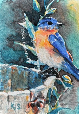 Watercolor Art Aceo Card Signed K.  S.  - Bluebird On Antique Wooden Bucket