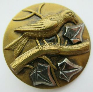 Exceptional Large Antique Vtg Metal Picture Button Bird & Cut Steel Leaves (j)