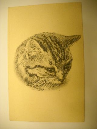 Striped Tabby Cat Side View Portrait Antique Postcard Litho Artist Signed
