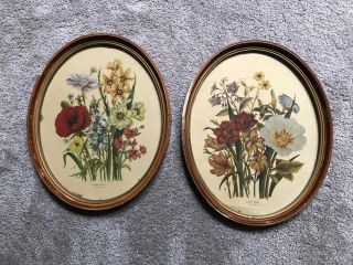 2 Vintage Oval Framed Prints Of Flowers