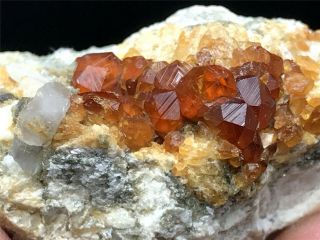 Natural Gules Fanta Spessartine Garnets Crystal Rough Rare Mineral Specime